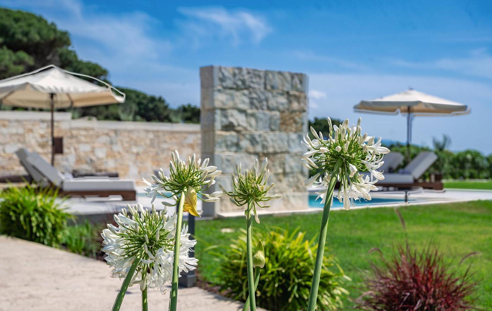 Theluxuryvillas 프레베자 외부 사진